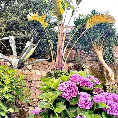 Holibai, Marino, Viva La Experiencia Del Mar Desde Su Terraza, Baiona, Galicia *